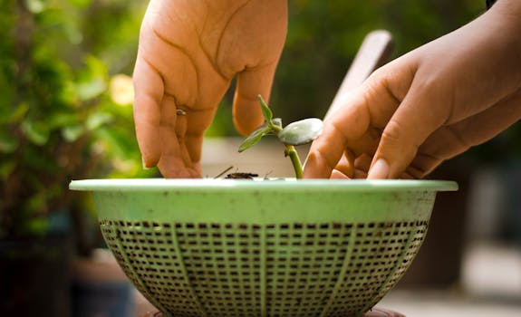 Transformační terapie: Nová naděje pro lidi s ADHD